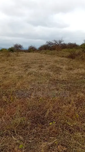 50 by 100 Plot in Milimani Villa