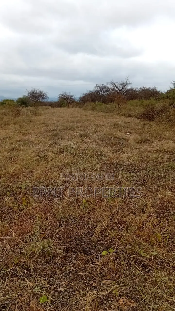 50 by 100 Plot in Milimani Villa