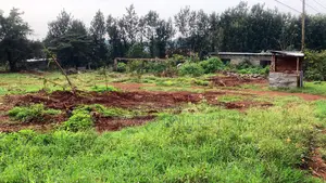 Plot for Sale in Thindigua