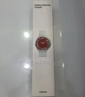 Samsung Galaxy Watch 6 Classic (43mm)