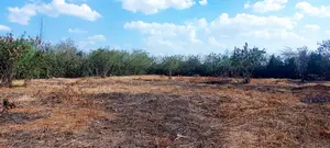 Land for Sale in Kitengela, Kimalat Area