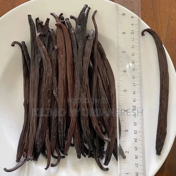 Vanilla Pods 500g Grade A