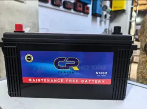 Gr N100 Maintenance-Free Car Battery