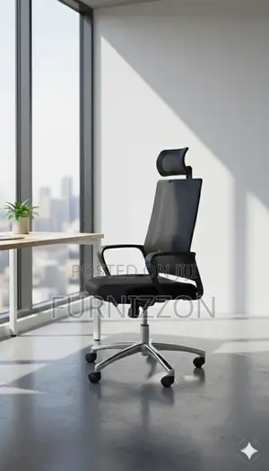 Height Adjustable Ergonomic Desk Chair