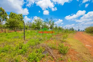 Prime Residential Plot for Sale in Kikuyu, Thigio.