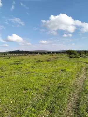 4 1/8 Acre Plots For Sale In Lukenya Near Daystar University