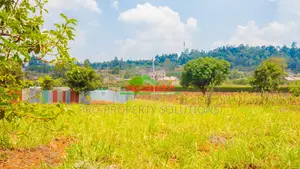 Prime Residential Plot for Sale in Kikuyu, Lusigetti