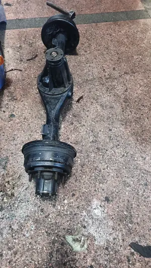 Complete Differential (Diff)Dyna