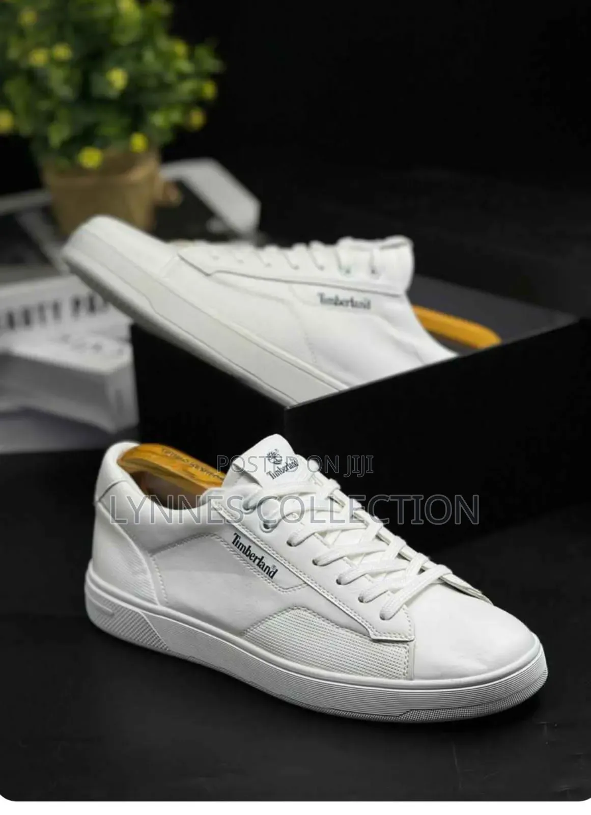 Timberland Casuals White