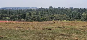 1⁄4 Plots for Sale in Elgonview Eldoret