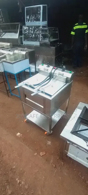 Stainless Steel Double Deep Fryer