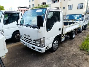 Isuzu Elf With 2017 White