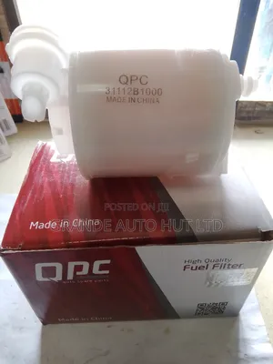 Fuel Filter Petrol for Hyundai Santa Fe 2020 (Qpc Brand)