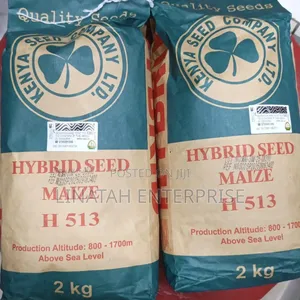 Hybrid Maize Seeds H 513 2kg