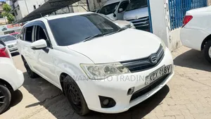 Toyota Corolla Fielder 2013 White