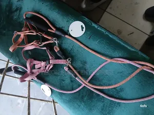 Dog Leash,Dog Leash Heavy Duty