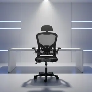 Office Chair : Ergonomic Mesh Office Chair With Adjusted Arms