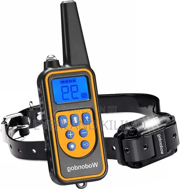 Training Collar For Dogs