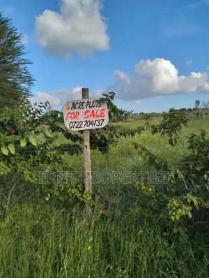 5 Prime1/4 Acre Plots for Sale Near Kag University Area, Kitengela