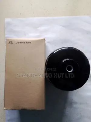 Fuel Filter for Hyundai Santa Fe (Genuine Parts)