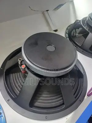 Professional Powered Naked Speaker