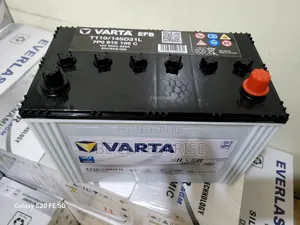Varta T110 Automotive Battery