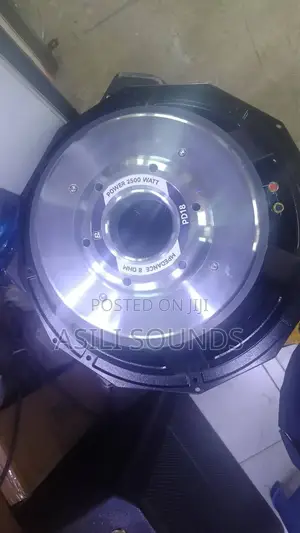18-Inch "Naked" Bass Speaker Driver