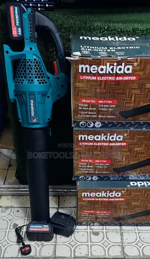 Meakida Cordless Leaf Blower