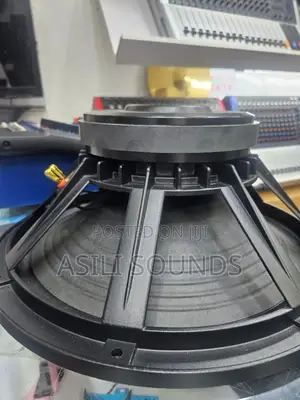 15-Inch Professional Naked Woofer Speaker