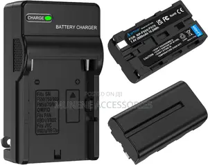 Np-F550 Battery 2-Pack and Wall Charger Sony Led Video Light 2400 Mah