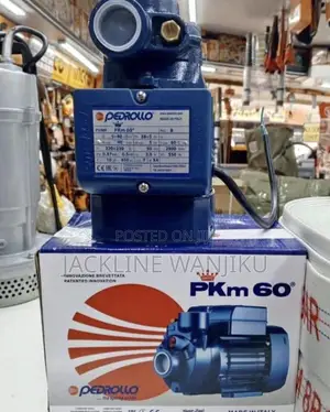 Pedrollo Water Pump 0.5hp / Electric Pedrollo Water Pump Machine