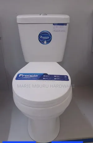 Toilet Double Flash
