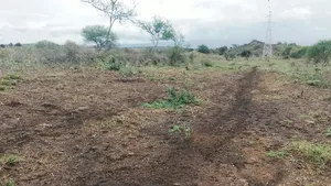 31 Acres for Sale Freehold Titles | Great Investment
