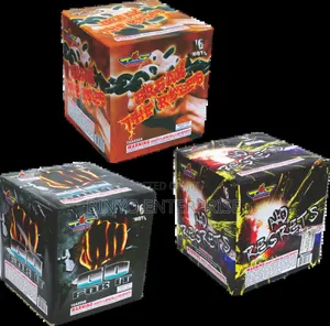 Fireworks 16 Short