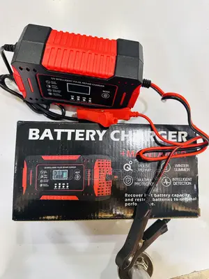 Battery Charger and Pulse Repairer 12v6a – Smart Automatic Car Battery