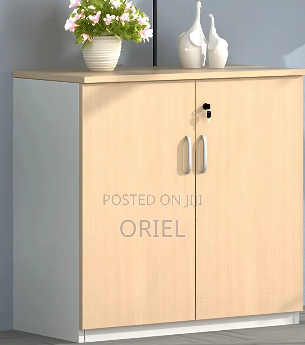 Book Shelves; Wooden Office Cabinet With Lockable Doors