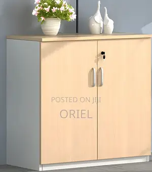 Book Shelves; Wooden Office Cabinet With Lockable Doors