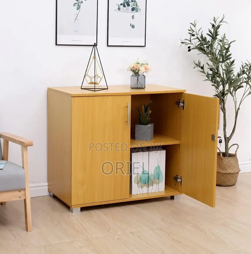 Book Shelves; Wooden Office Cabinet With Lockable Doors