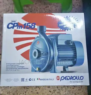 Pedrollo 1hp Water Pump/ 1hp Electric Booster Pump Pedrollo/ Pedrollo