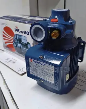 0.5hp Electric Pedrollo Water Pump /Pedrollo Water Pump 0.5hp Electric