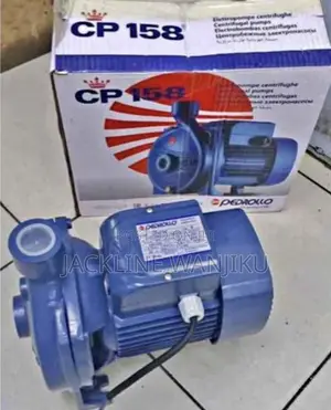 Pedrollo Water Pump 1hp/Pedrollo Cp158 Centrifugal Electric Water Pump