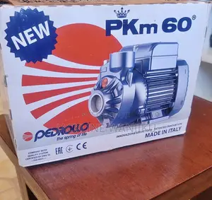 PKM 60 0.5hp Pedrollo Water Pump/ Electric Pedrollo Booster Pump 0.5hp