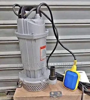 QDX 1hp Electric Shallow Well Water Pump/Electric Surbmirsible 1hp