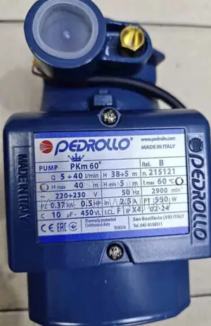 Original Pedrollo Water Pump (Pkm60)