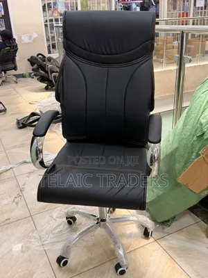 Ergonomic Executive Leather Chair ~ High Back, Padded Armrest