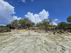 Prime Land for Sale in Msambweni