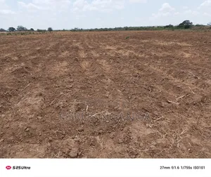 Cheap Land for Sale