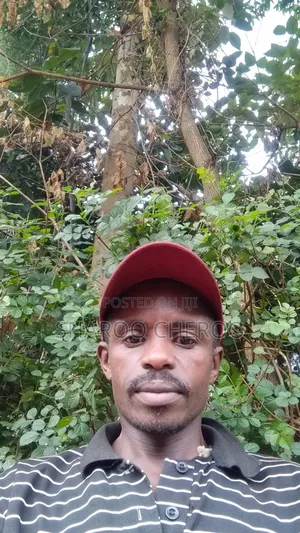 Cleaning House, Slashing Compound and Assisting in Any Needed Job