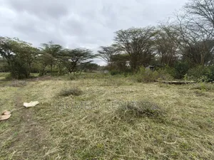 Eighth Acre Plot for Sale in Ongata Rongai, Acacia Area