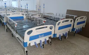3 Crank Manual Abs Bed With Mattress